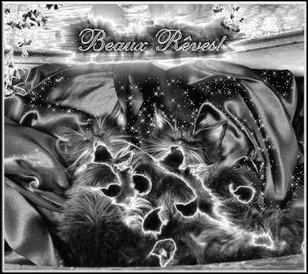  EN GREVE POUR JP CREATIONS