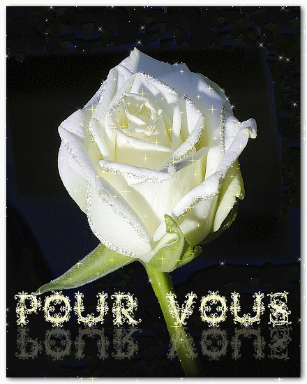 MARSEILLE BOXERS REVENU